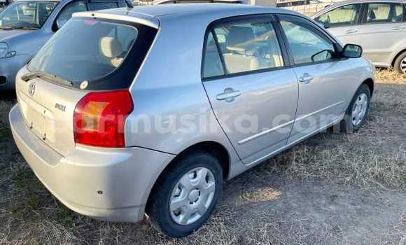 Acheter Occasion Voiture Toyota Runx Gris à Beitbridge, Matabeleland South Acheter Occasion Voiture Toyota Runx Gris à Beitbridge, Matabeleland South