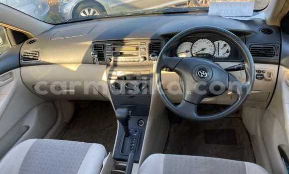 Acheter Occasion Voiture Toyota Runx Gris à Beitbridge, Matabeleland South Acheter Occasion Voiture Toyota Runx Gris à Beitbridge, Matabeleland South