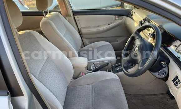 Acheter Occasion Voiture Toyota Runx Gris à Beitbridge, Matabeleland South Acheter Occasion Voiture Toyota Runx Gris à Beitbridge, Matabeleland South