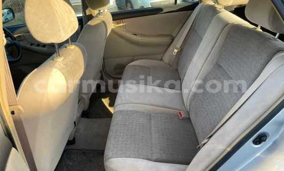 Acheter Occasion Voiture Toyota Runx Gris à Beitbridge, Matabeleland South Acheter Occasion Voiture Toyota Runx Gris à Beitbridge, Matabeleland South