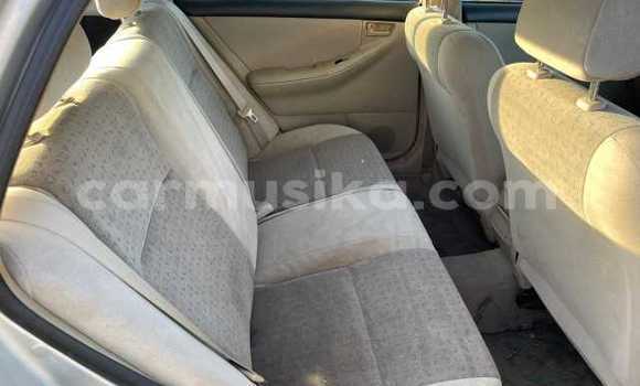 Acheter Occasion Voiture Toyota Runx Gris à Beitbridge, Matabeleland South Acheter Occasion Voiture Toyota Runx Gris à Beitbridge, Matabeleland South