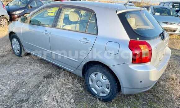 Acheter Occasion Voiture Toyota Runx Gris à Beitbridge, Matabeleland South Acheter Occasion Voiture Toyota Runx Gris à Beitbridge, Matabeleland South