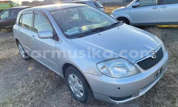 Acheter Occasion Voiture Toyota Runx Gris à Beitbridge, Matabeleland South Acheter Occasion Voiture Toyota Runx Gris à Beitbridge, Matabeleland South
