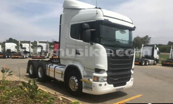 Buy Used Scania R420 White Truck in Harare in Harare Buy Used Scania R420 White Truck in Harare in Harare