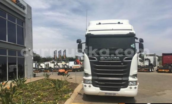 Buy Used Scania R420 White Truck in Harare in Harare Buy Used Scania R420 White Truck in Harare in Harare