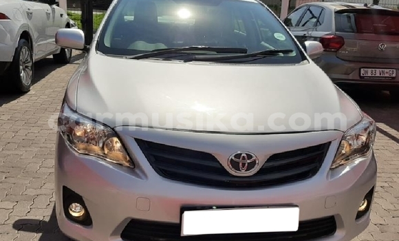 Buy Used Toyota Corolla Silver Car in Harare in Harare