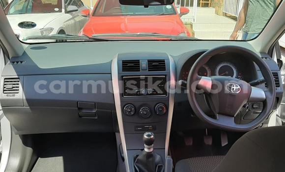 Acheter Occasion Voiture Toyota Corolla Gris à Harare, Harare Acheter Occasion Voiture Toyota Corolla Gris à Harare, Harare