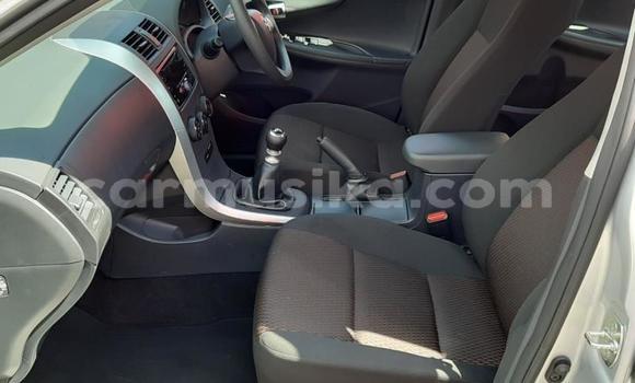 Acheter Occasion Voiture Toyota Corolla Gris à Harare, Harare Acheter Occasion Voiture Toyota Corolla Gris à Harare, Harare