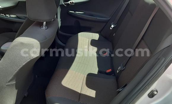 Acheter Occasion Voiture Toyota Corolla Gris à Harare, Harare Acheter Occasion Voiture Toyota Corolla Gris à Harare, Harare