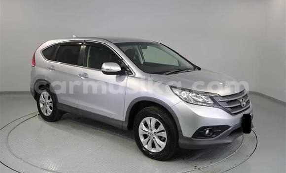 Buy Used Honda CR–V Silver Car in Beitbridge in Matabeleland South Buy Used Honda CR–V Silver Car in Beitbridge in Matabeleland South