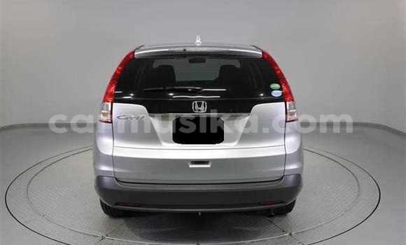 Buy Used Honda CR–V Silver Car in Beitbridge in Matabeleland South Buy Used Honda CR–V Silver Car in Beitbridge in Matabeleland South