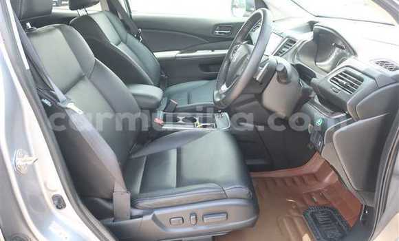 Buy Used Honda CR–V Silver Car in Beitbridge in Matabeleland South Buy Used Honda CR–V Silver Car in Beitbridge in Matabeleland South