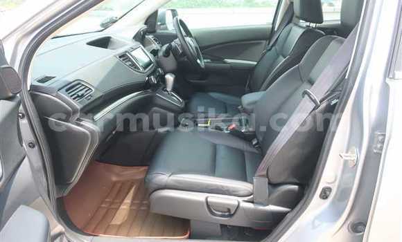 Buy Used Honda CR–V Silver Car in Beitbridge in Matabeleland South Buy Used Honda CR–V Silver Car in Beitbridge in Matabeleland South