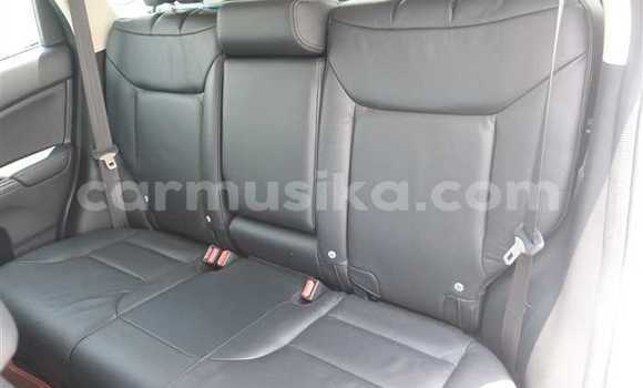 Buy Used Honda CR–V Silver Car in Beitbridge in Matabeleland South Buy Used Honda CR–V Silver Car in Beitbridge in Matabeleland South