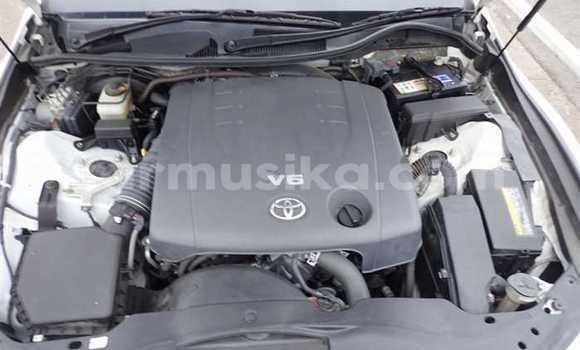 Acheter Occasion Voiture Toyota Mark X Blanc à Beitbridge, Matabeleland South Acheter Occasion Voiture Toyota Mark X Blanc à Beitbridge, Matabeleland South