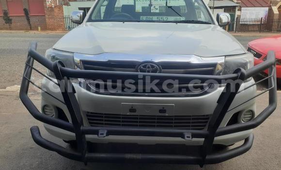 Tenga Tsaru Toyota Hilux Chena Mota in Beitbridge in Matabeleland South