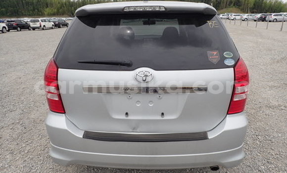 Tenga Tsaru Wiesmann Roadster Sirivha Mota in Beitbridge in Matabeleland South Tenga Tsaru Wiesmann Roadster Sirivha Mota in Beitbridge in Matabeleland South