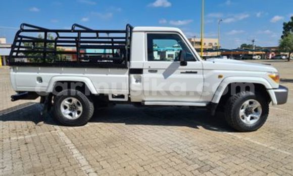 Tenga Tsaru Toyota Land Cruiser Chena Mota in Beitbridge in Matabeleland South Tenga Tsaru Toyota Land Cruiser Chena Mota in Beitbridge in Matabeleland South