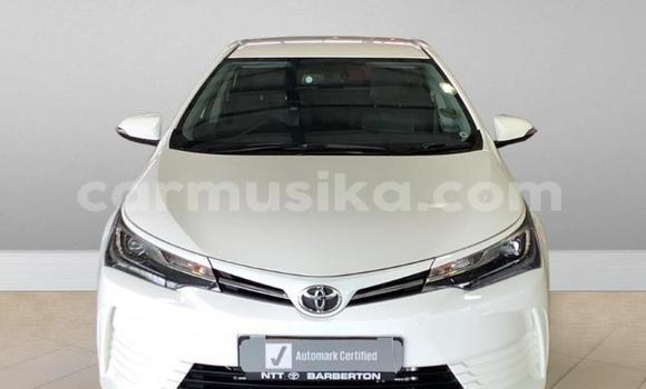 Buy Used Toyota Corolla White Car in Beitbridge in Matabeleland South
