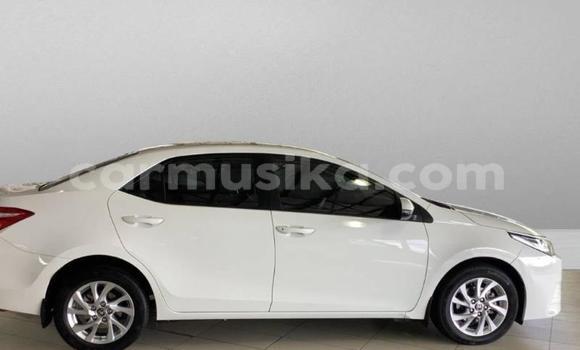 Acheter Occasion Voiture Toyota Corolla Blanc à Beitbridge, Matabeleland South Acheter Occasion Voiture Toyota Corolla Blanc à Beitbridge, Matabeleland South