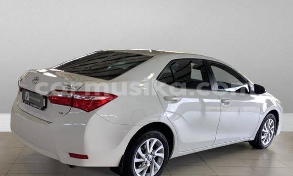 Acheter Occasion Voiture Toyota Corolla Blanc à Beitbridge, Matabeleland South Acheter Occasion Voiture Toyota Corolla Blanc à Beitbridge, Matabeleland South