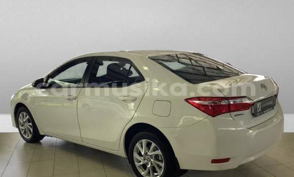 Acheter Occasion Voiture Toyota Corolla Blanc à Beitbridge, Matabeleland South Acheter Occasion Voiture Toyota Corolla Blanc à Beitbridge, Matabeleland South