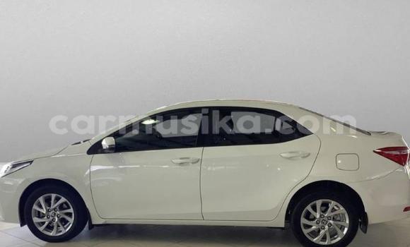 Acheter Occasion Voiture Toyota Corolla Blanc à Beitbridge, Matabeleland South Acheter Occasion Voiture Toyota Corolla Blanc à Beitbridge, Matabeleland South