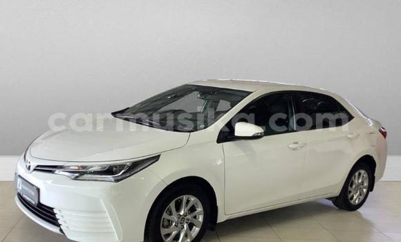 Acheter Occasion Voiture Toyota Corolla Blanc à Beitbridge, Matabeleland South Acheter Occasion Voiture Toyota Corolla Blanc à Beitbridge, Matabeleland South