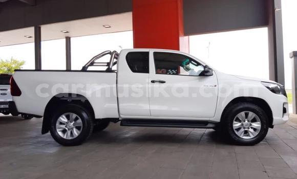 Tenga Tsaru Toyota Hilux Chena Mota in Beitbridge in Matabeleland South Tenga Tsaru Toyota Hilux Chena Mota in Beitbridge in Matabeleland South