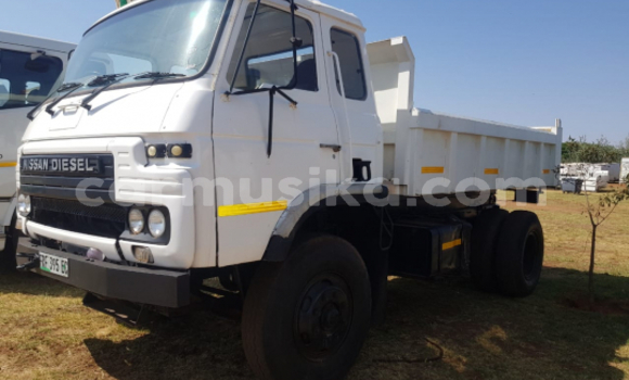 Buy Used Nissan UD White Truck in Beitbridge in Matabeleland South Buy Used Nissan UD White Truck in Beitbridge in Matabeleland South