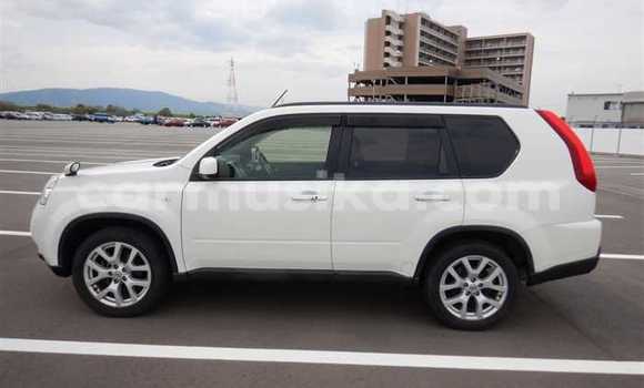 Tenga Tsaru Nissan X–Trail Chena Mota in Beitbridge in Matabeleland South Tenga Tsaru Nissan X–Trail Chena Mota in Beitbridge in Matabeleland South
