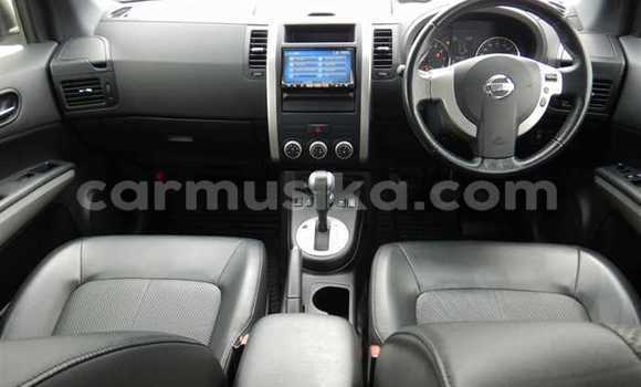 Tenga Tsaru Nissan X–Trail Chena Mota in Beitbridge in Matabeleland South Tenga Tsaru Nissan X–Trail Chena Mota in Beitbridge in Matabeleland South