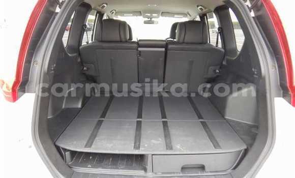 Tenga Tsaru Nissan X–Trail Chena Mota in Beitbridge in Matabeleland South Tenga Tsaru Nissan X–Trail Chena Mota in Beitbridge in Matabeleland South