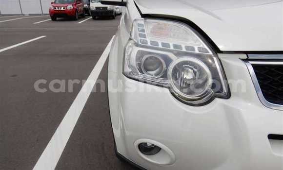 Tenga Tsaru Nissan X–Trail Chena Mota in Beitbridge in Matabeleland South Tenga Tsaru Nissan X–Trail Chena Mota in Beitbridge in Matabeleland South