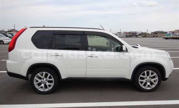 Tenga Tsaru Nissan X–Trail Chena Mota in Beitbridge in Matabeleland South Tenga Tsaru Nissan X–Trail Chena Mota in Beitbridge in Matabeleland South