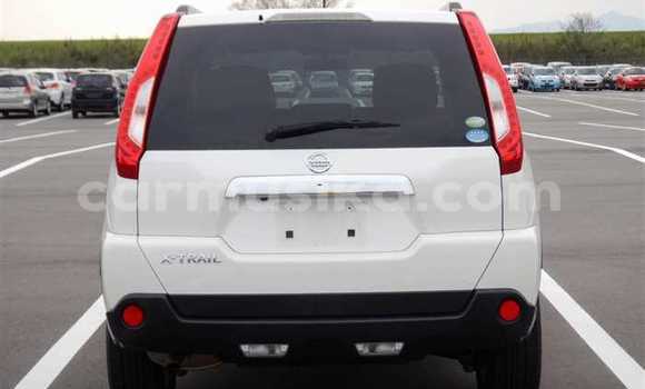 Tenga Tsaru Nissan X–Trail Chena Mota in Beitbridge in Matabeleland South Tenga Tsaru Nissan X–Trail Chena Mota in Beitbridge in Matabeleland South