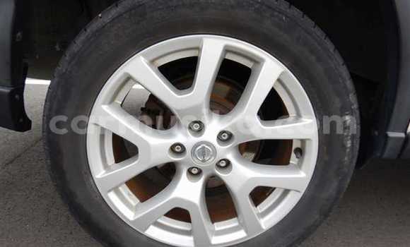 Tenga Tsaru Nissan X–Trail Chena Mota in Beitbridge in Matabeleland South Tenga Tsaru Nissan X–Trail Chena Mota in Beitbridge in Matabeleland South