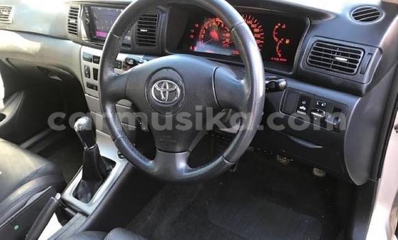 Acheter Occasion Voiture Toyota Runx Gris à Harare, Harare Acheter Occasion Voiture Toyota Runx Gris à Harare, Harare