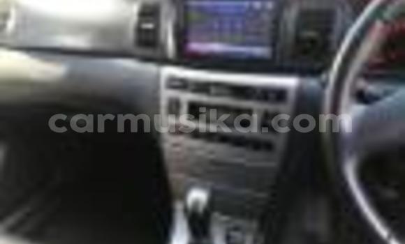 Acheter Occasion Voiture Toyota Runx Gris à Harare, Harare Acheter Occasion Voiture Toyota Runx Gris à Harare, Harare