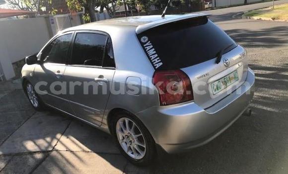 Acheter Occasion Voiture Toyota Runx Gris à Harare, Harare Acheter Occasion Voiture Toyota Runx Gris à Harare, Harare