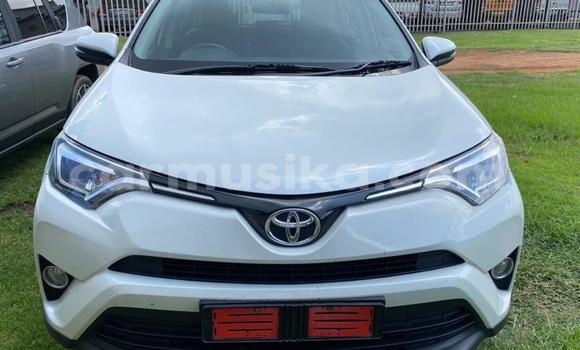 Tenga Tsaru Toyota RAV4 Chena Mota in Beitbridge in Matabeleland South Tenga Tsaru Toyota RAV4 Chena Mota in Beitbridge in Matabeleland South