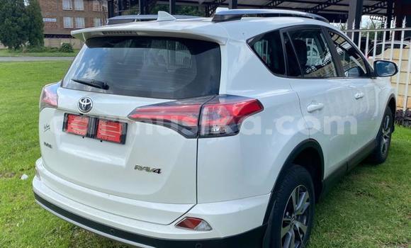 Tenga Tsaru Toyota RAV4 Chena Mota in Beitbridge in Matabeleland South Tenga Tsaru Toyota RAV4 Chena Mota in Beitbridge in Matabeleland South