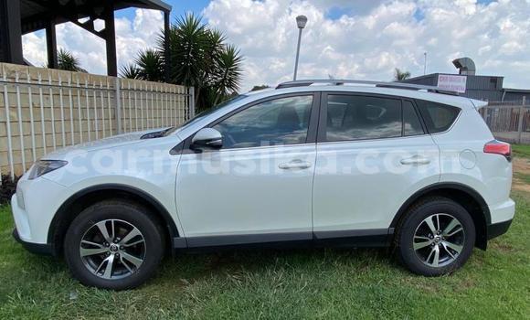 Tenga Tsaru Toyota RAV4 Chena Mota in Beitbridge in Matabeleland South Tenga Tsaru Toyota RAV4 Chena Mota in Beitbridge in Matabeleland South