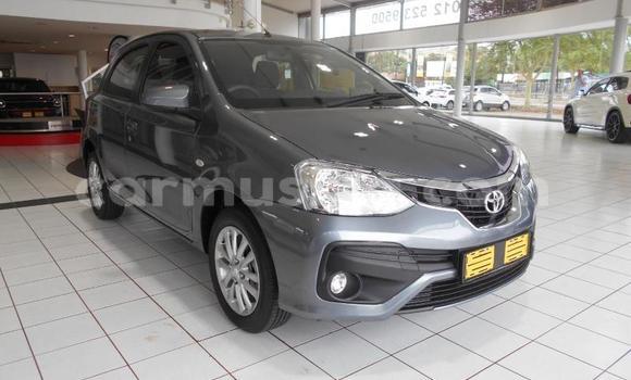 Tenga Tsaru Toyota Etios Zvimwe Mota in Beitbridge in Matabeleland South