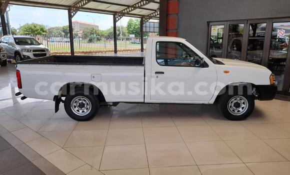 Buy Used Nissan NP 300 White Car in Beitbridge in Matabeleland South Buy Used Nissan NP 300 White Car in Beitbridge in Matabeleland South