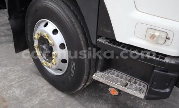 Nunua Ilio tumika Isuzu FTR 850 Nyeupe Lori ndani ya Borrowdale nchini Harare Nunua Ilio tumika Isuzu FTR 850 Nyeupe Lori ndani ya Borrowdale nchini Harare