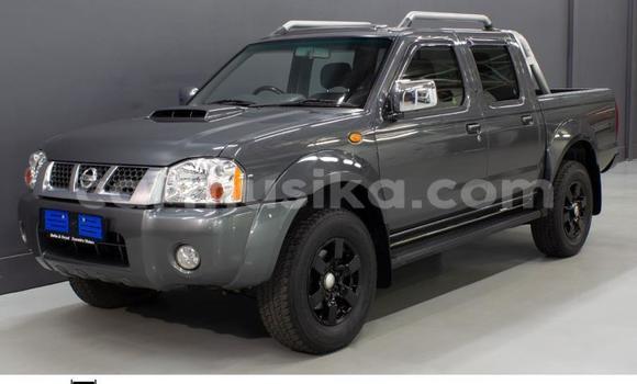 Tenga Tsaru Nissan NP 300 Nhema Mota in Beitbridge in Matabeleland South