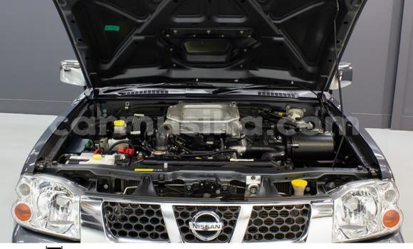 Buy Used Nissan NP 300 Black Car in Beitbridge in Matabeleland South Buy Used Nissan NP 300 Black Car in Beitbridge in Matabeleland South