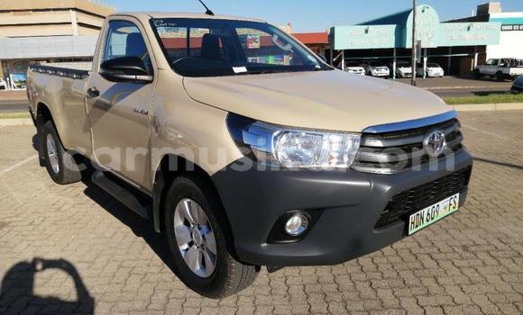Tenga Tsaru Toyota Hilux Bhurawuni Mota in Beitbridge in Matabeleland South
