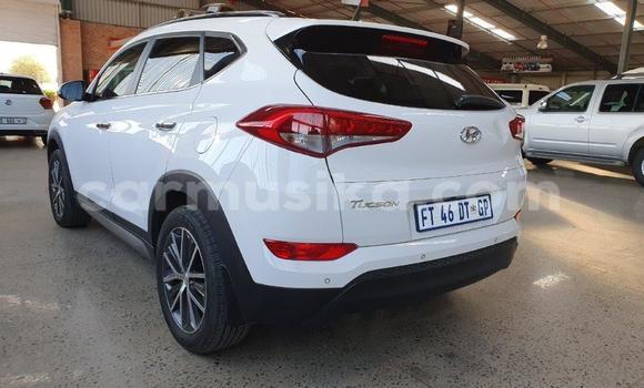 Buy Used Hyundai Tucson White Car in Beitbridge in Matabeleland South